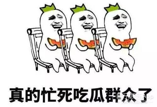娱乐吃瓜群众,揭秘明星幕后故事，吃瓜群众狂欢时刻  第2张