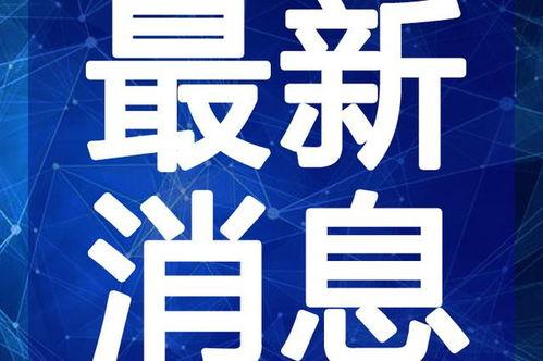 爆料王菲打牌视频大全最新,揭秘天后打牌视频大全幕后故事  第3张